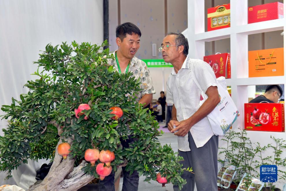 足球网上投注